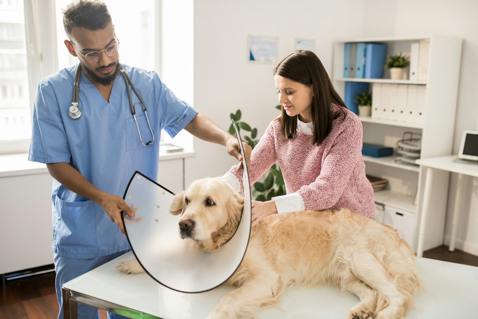 Holiday Foods That Could Send Your Pet to the Emergency Room: What Mesa Pet Parents Need to Know