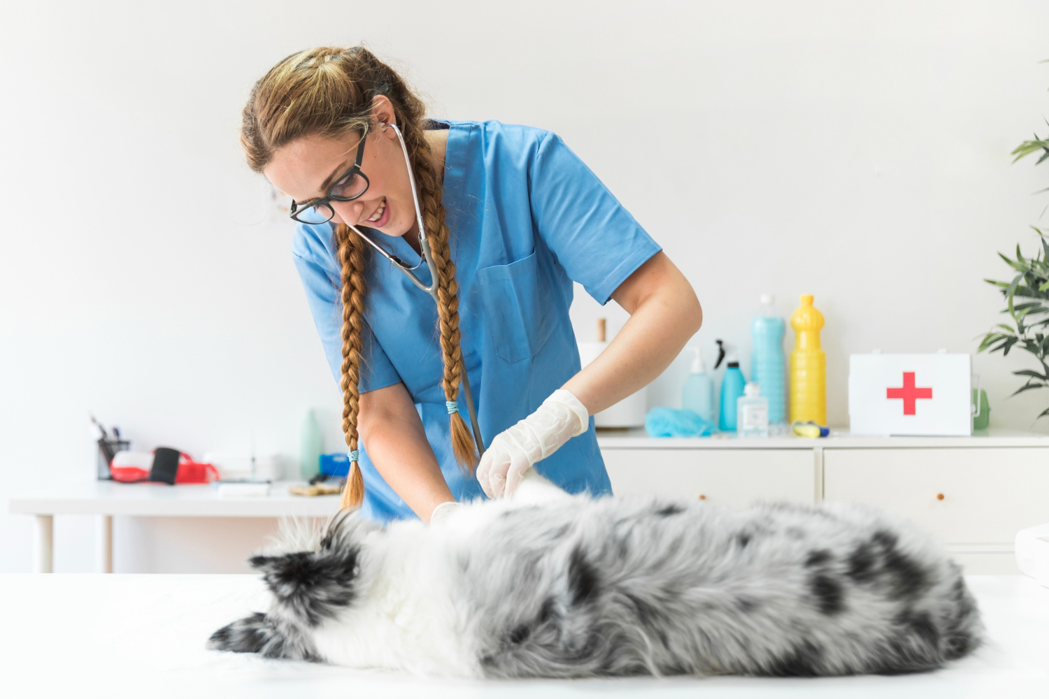 Why You Might Need Pet Urgent Care on a Weekend