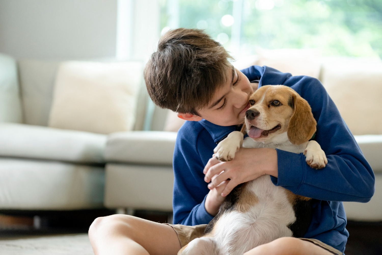 Fill This Before Spring: Your Pet Emergency Kit List