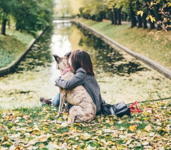 shutterstock_2226570833